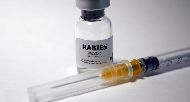 rabies vaccine and syringe
