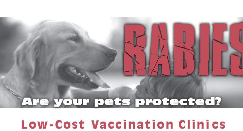 Rabies. Are your pets protected?