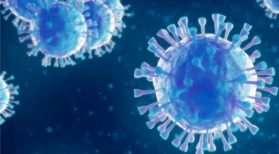 Microscopic view of flu germs